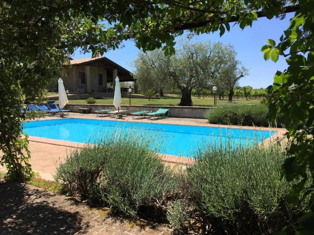 Agriturismo Eco-Bio Villa Vacasio Питильяно Экстерьер фото